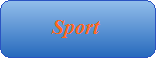 Hokej, fotbal a ostatn sporty